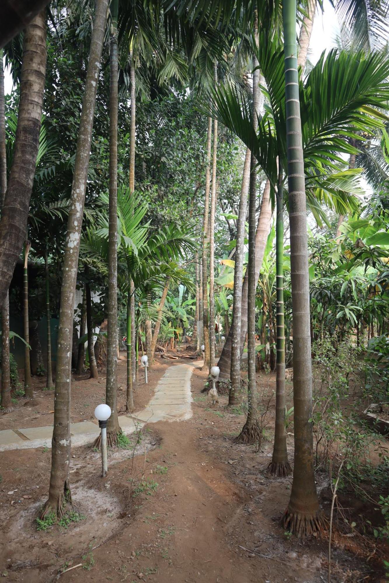 Gokul Cottage & Villa Revadanda Екстериор снимка